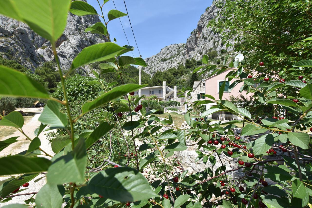 Apartment Petea Omiš Eksteriør bilde